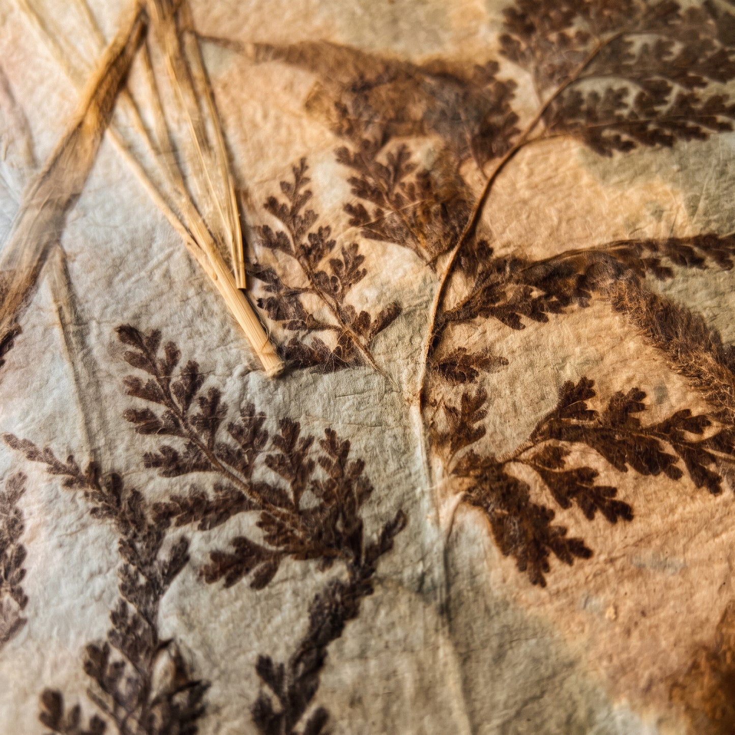 Pressed Botanical Washi Art — One of a Kind